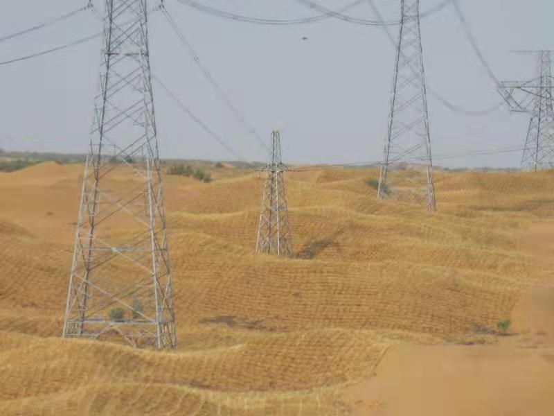 無(wú)人機(jī)傾斜攝影技術(shù)助力寧夏沙害防治(圖2)