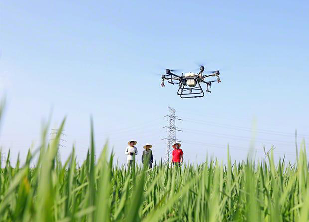 植保無人機(jī)助力水稻病蟲害防治(圖1) 植保無人機(jī)助力水稻病蟲害防治(圖1)